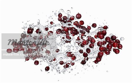 Gooseberries with a water splash