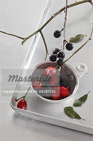 Rosehips and sloes