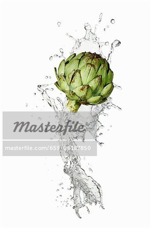 Water and artichoke Water and artichoke