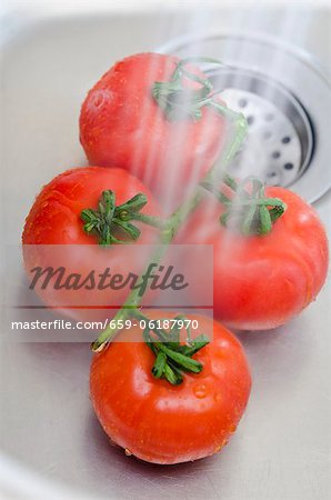 Washing tomatoes