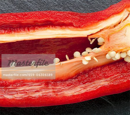 Red Pepper Sliced to Reveal Seeds and Ribs