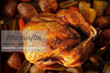 Whole Roasted Free Range Chicken with Herbs in a Pan with Organic Vegetables