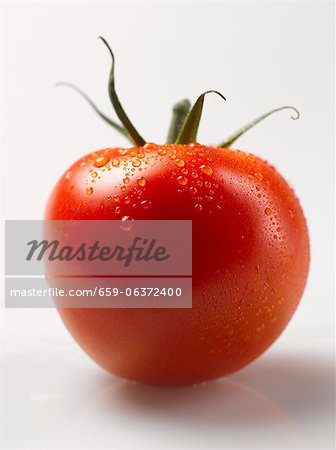 A tomato with drops of water A tomato with drops of water