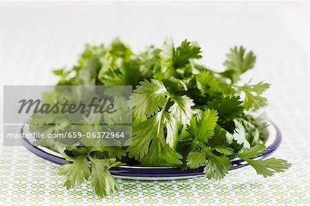 Fresh coriander on a plate