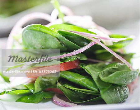 Spinach Salad with Onion and Tomato; Close Up