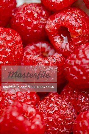 Fresh Raspberries; Close Up