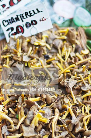 Fresh chanterelle mushrooms at a market