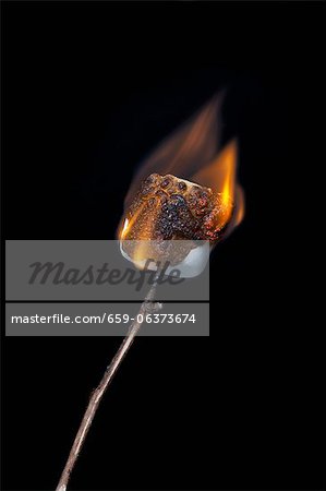 Burning Marshmallow on a Stick