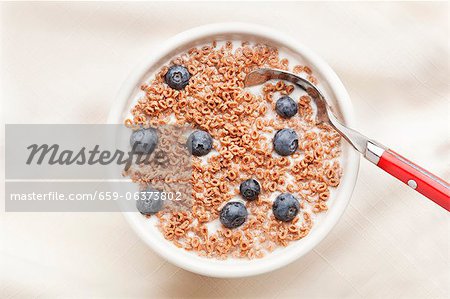 Bowl of Cold Cereal with Milk and Blueberries; From Above; Spoon Bowl of Cold Cereal with Milk and Blueberries; From Above; Spoon