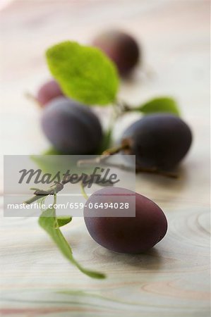 Plums with leaves