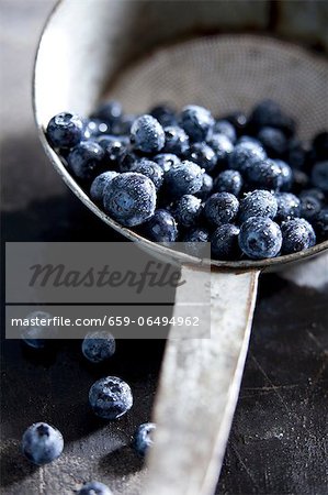 Blueberries in a pot Blueberries in a pot