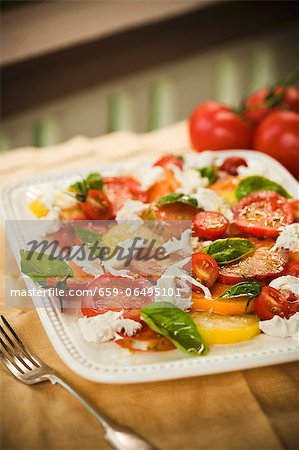 Caprese Salad with a Variety of Tomatoes, Mozzarella and Basil Caprese Salad with a Variety of Tomatoes, Mozzarella and Basil