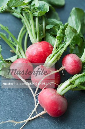 Fresh radishes with leaves