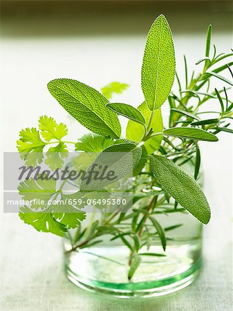 Sage, parsley and rosemary in a glass of water