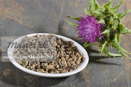 Milk thistle (a flower and seeds)