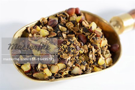 Dried saw palmetto fruits (Sabal serrulata) on a brass scoop