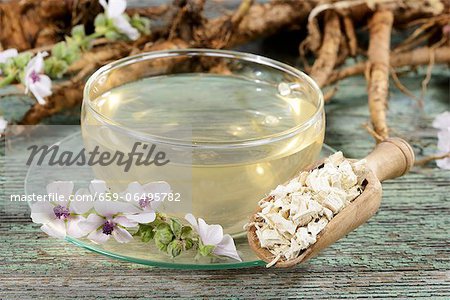 Marsh mallow root tea, roots and flowers