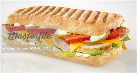 Chicken, tomato, gherkin, cheese slice and lettuce panini