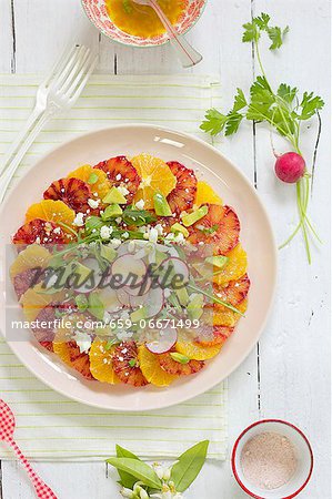 A salad of oranges with radishes A salad of oranges with radishes