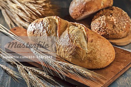 Assorted Loaves of Bread with Wheat Stalks