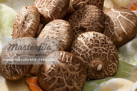 Shiitake Mushrooms on Wooden Surface