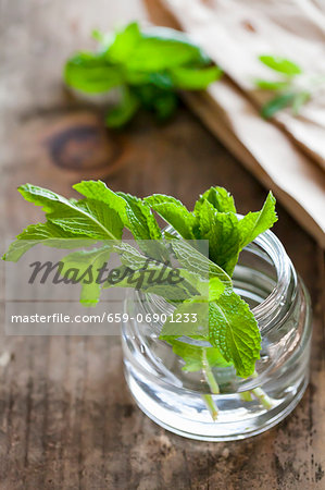 Fresh Mint in a Small Jar of Water Fresh Mint in a Small Jar of Water