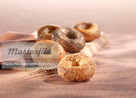 Still life with assorted bagels Still life with assorted bagels