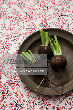 Three round, black winter radishes on an old plate