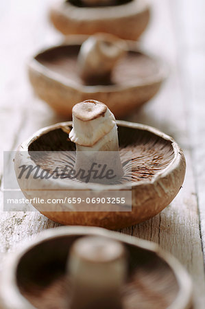 Mushrooms on a wooden surface
