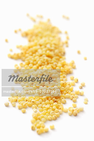 Millet (close-up)