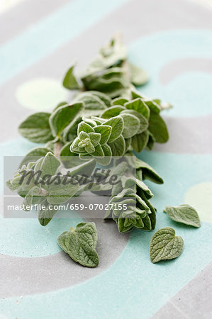 Sprigs of fresh oregano and individual leaves