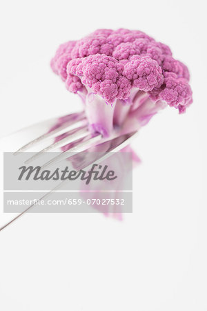 A pink cauliflower floret