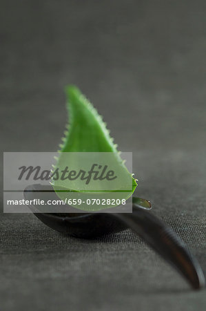 An aloe vera leaf on a wooden spoon