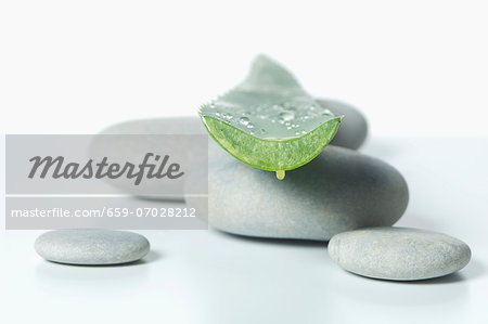 An aloe vera leaf on pebbles