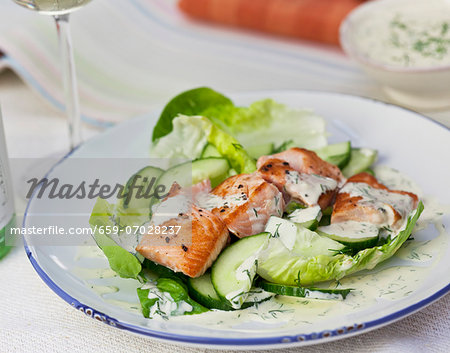 Salmon and cucumber salad with dill yoghurt