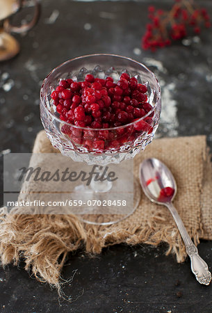 Lingonberries in a Crystal Cup Lingonberries in a Crystal Cup