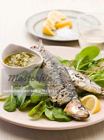 Grilled sardines with a herb sauce