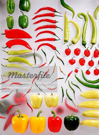 Different types of peppers and chillies Different types of peppers and chillies