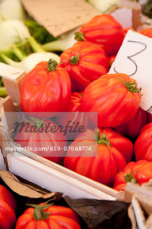 Tomatoes at the market