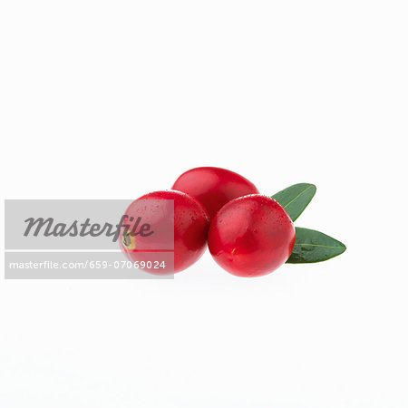 Three cranberries with water droplets