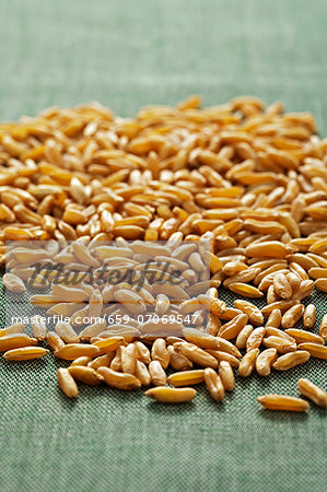 Kamut grain against a green linen background Kamut grain against a green linen background