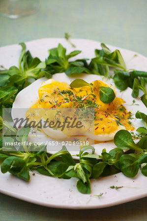 Halved boiled eggs with mayonnaise and cheese sauce, garnished with lamb's lettuce, saffron and cress