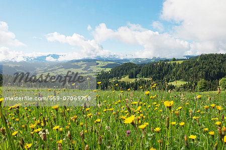 A view from Moosegg (canton of Bern, Switzerland) into Emmental and the Bernese Alps