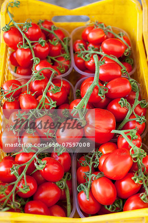Vine tomatoes in plastic containers at the market
