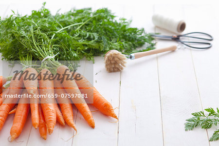 Carrots bunched together