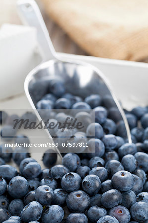 Blueberries in a wooden crate with a scoop