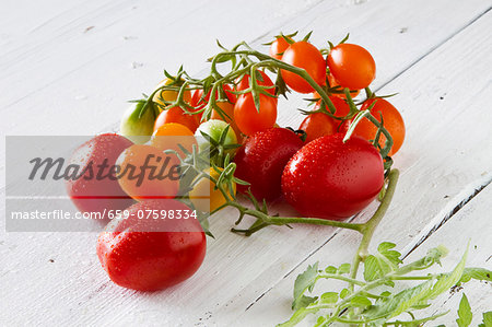 Assorted tomatoes on a white-painted wooden table