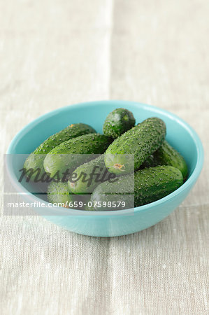 Several pickling cucumbers in a pale blue bowl