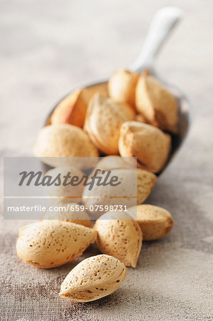 Unpeeled almonds on a scoop Unpeeled almonds on a scoop