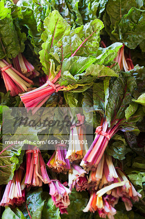 Several bunches of rainbow chard